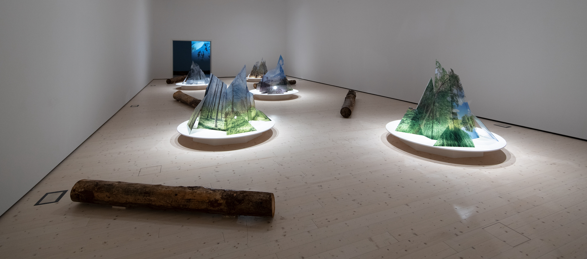 Crystal Forests | Bigert & Bergström